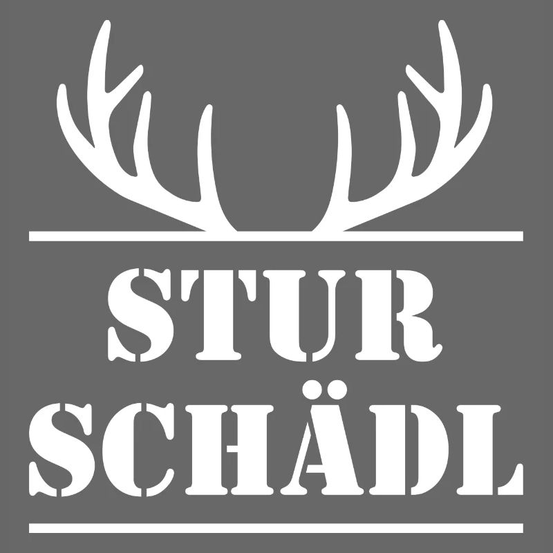 STURSCHÄDL
