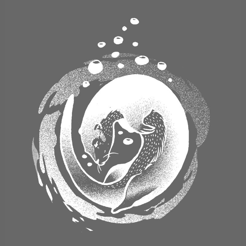 Inversion de sort de loutre