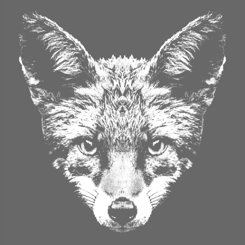 Fuchs / Fox / Kopf / Rotfuchs