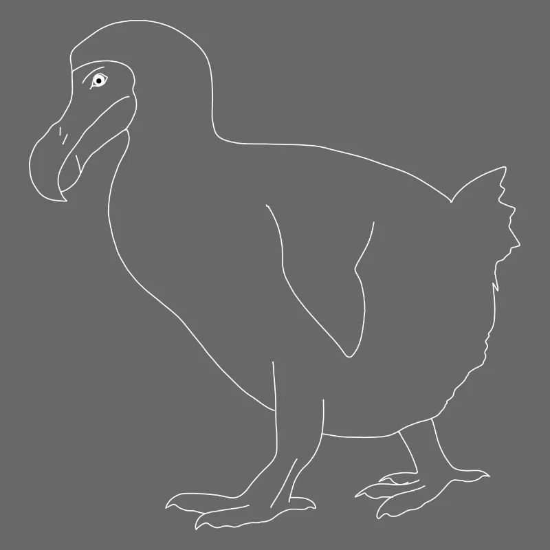 Dodo