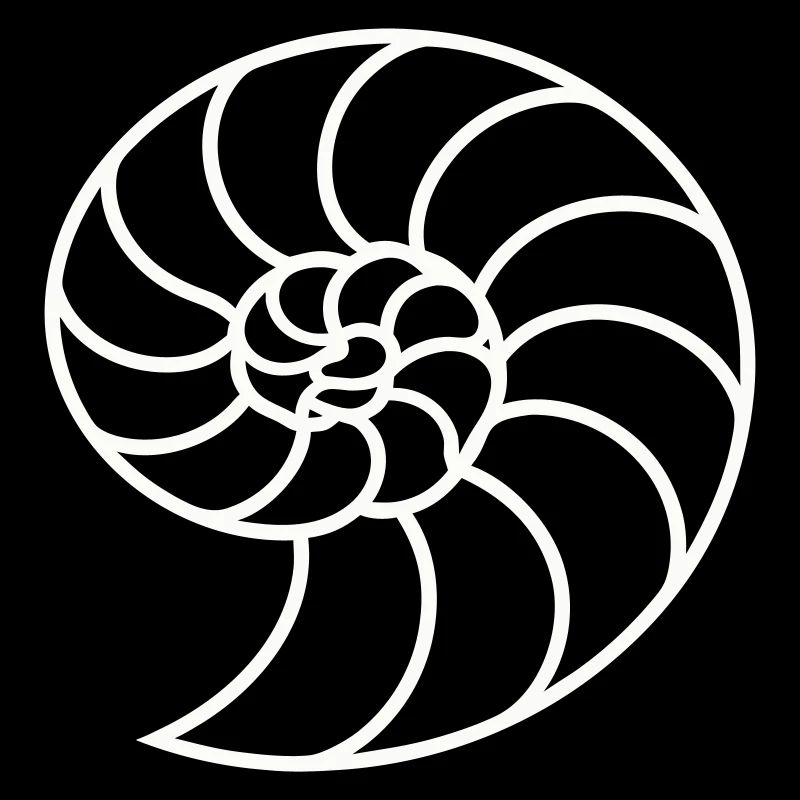 Weiße Nautilus-Spirale