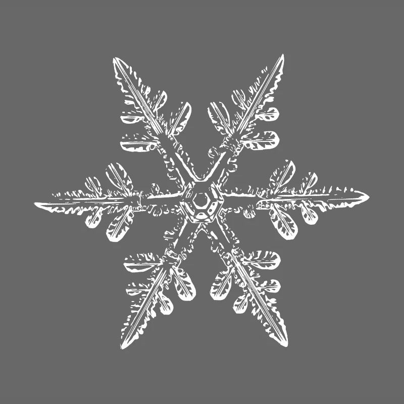 snowflake 8 white
