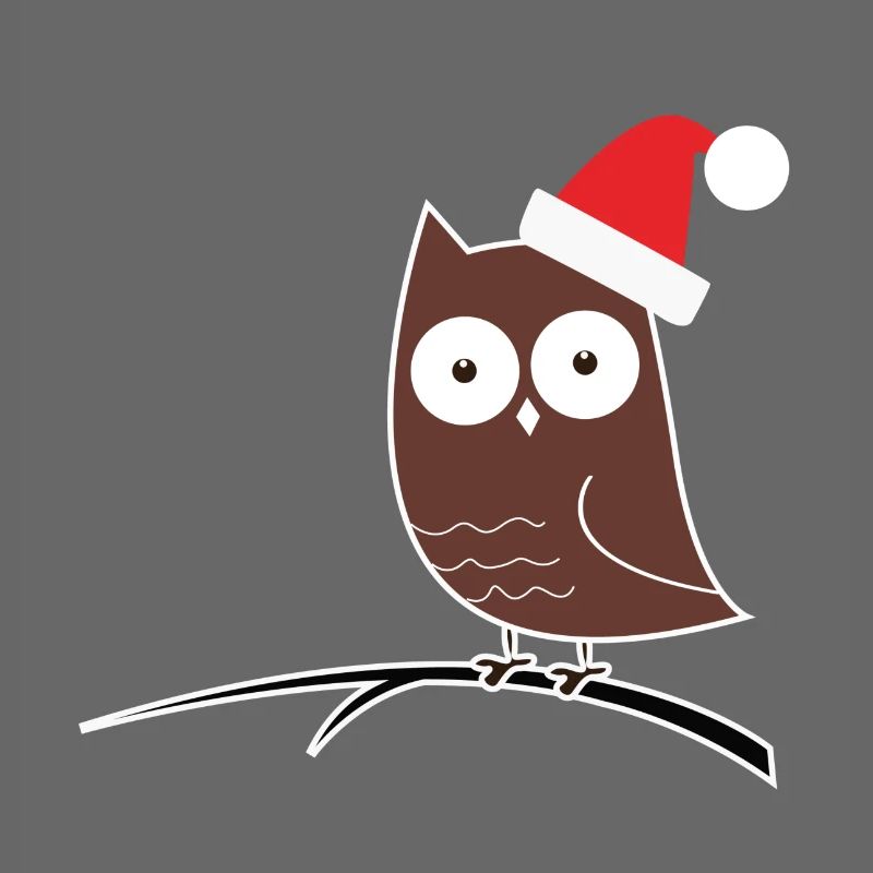 Die Weihnachts-Eule! Geschenk Idee