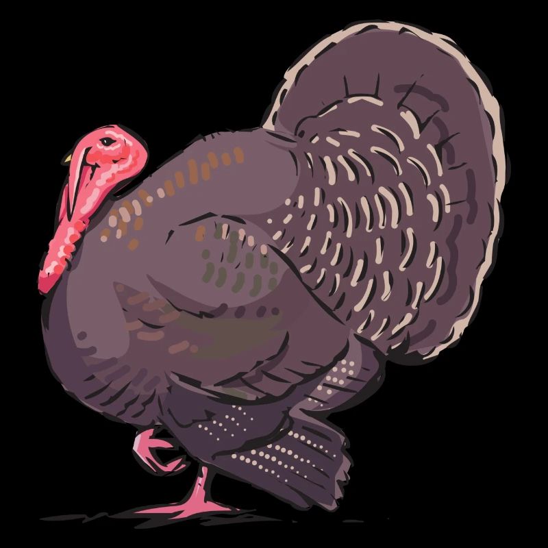 turkey