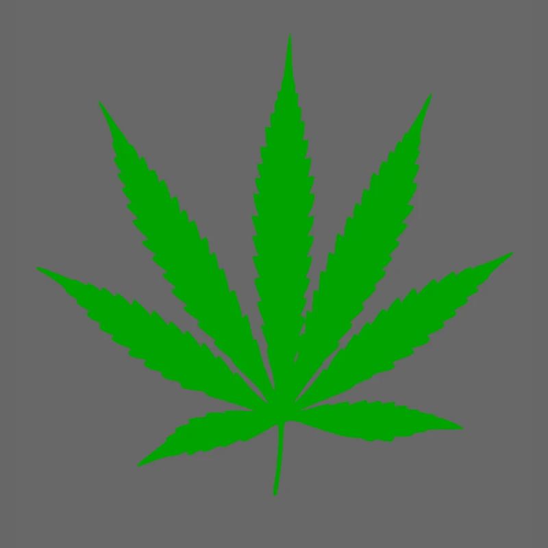 Cannabis Leaf Plant