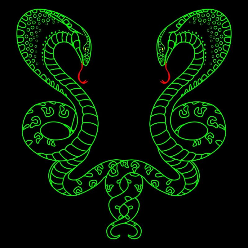 Deux serpents verts
