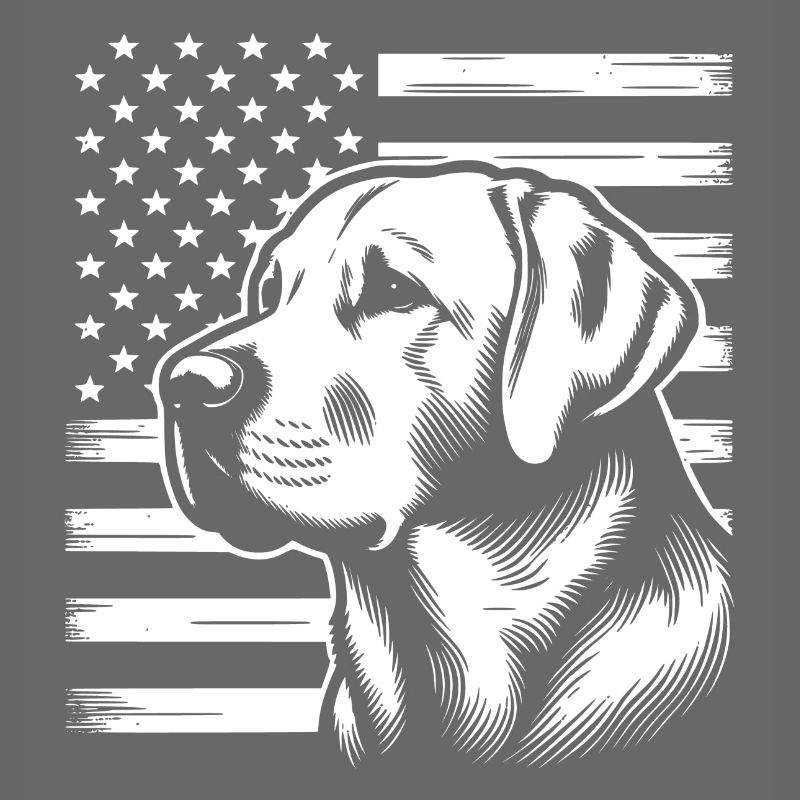 Labrador Retriever Lab avec drapeau américain