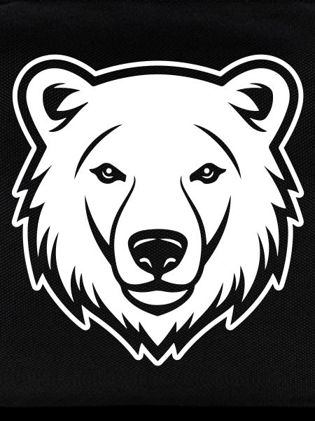 Eisbär Kopf Polar bär