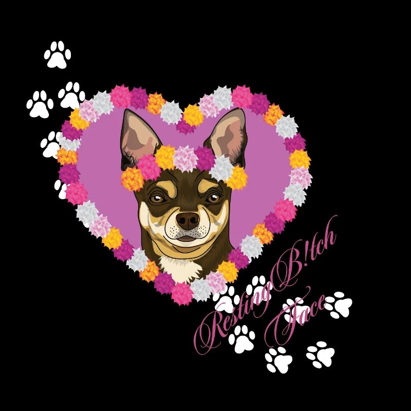 Ruhender Chihuahua mit dem Gesicht