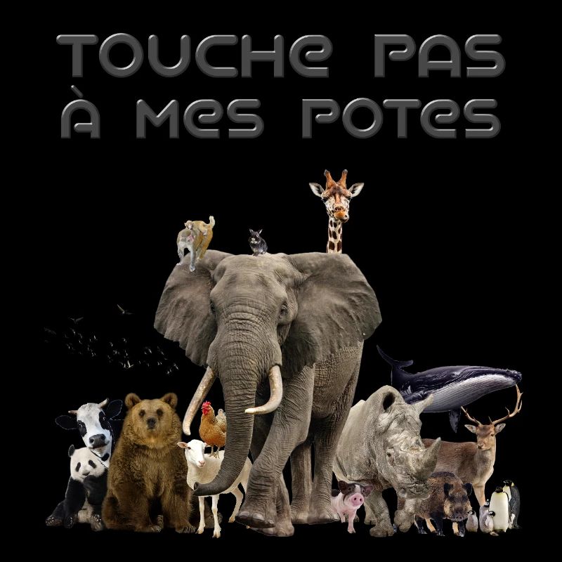 Touche pas à mes potes