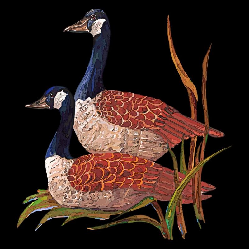 birds
