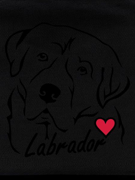 Labrador ❤