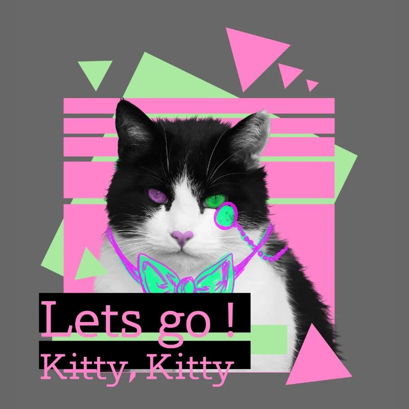 Lets go kitty, kitty