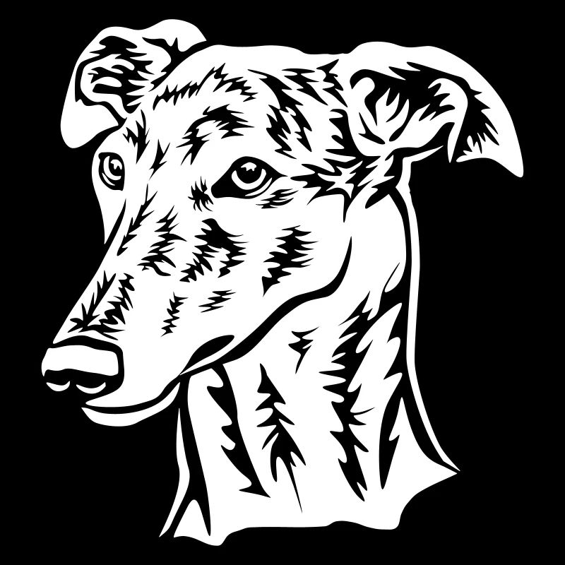 Galgo Kopf "Black Edition"
