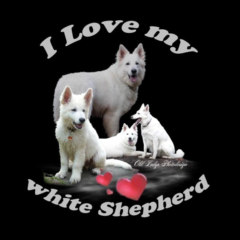 weißer Schäferhund