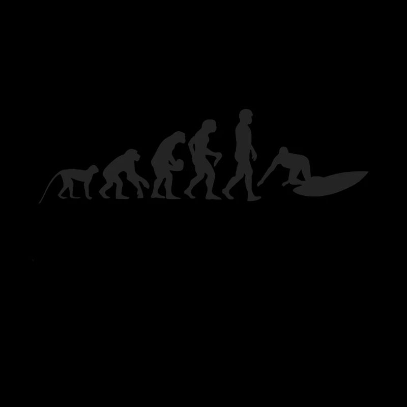 Surfen Evolution