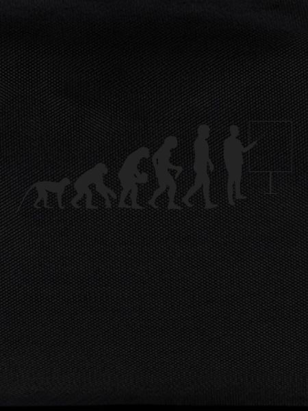 Lehrer Evolution
