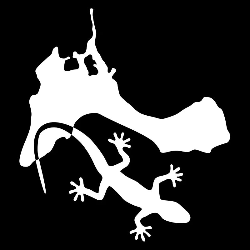 Formentera Gecko