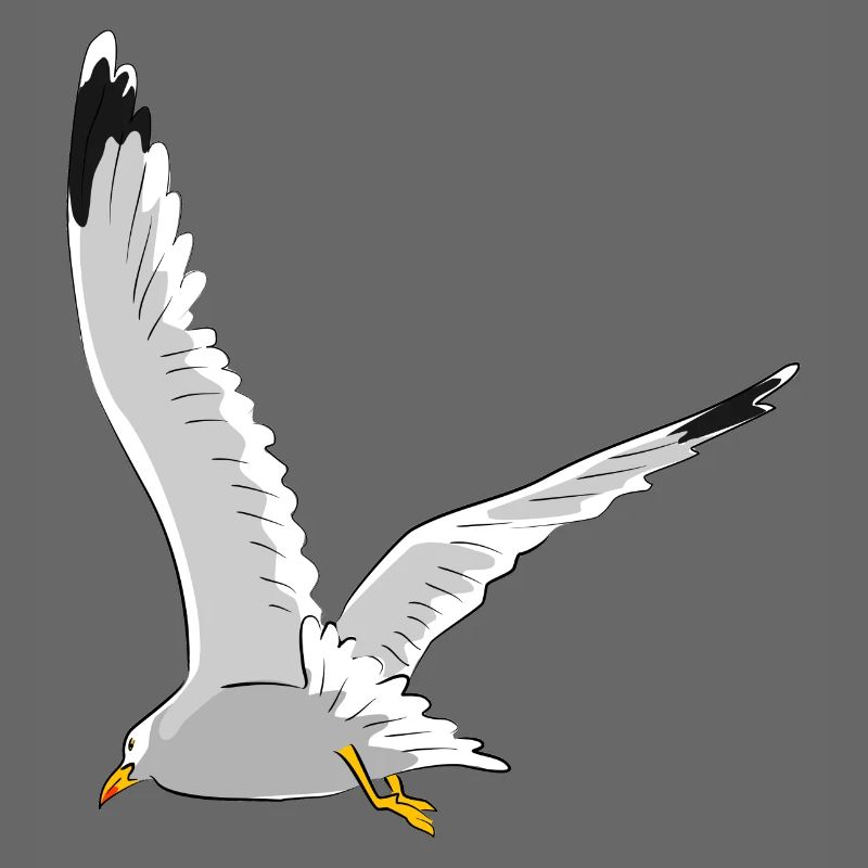 Möwe im Flug