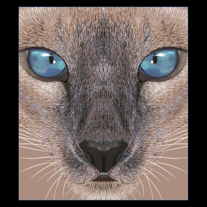 Siamkatze
