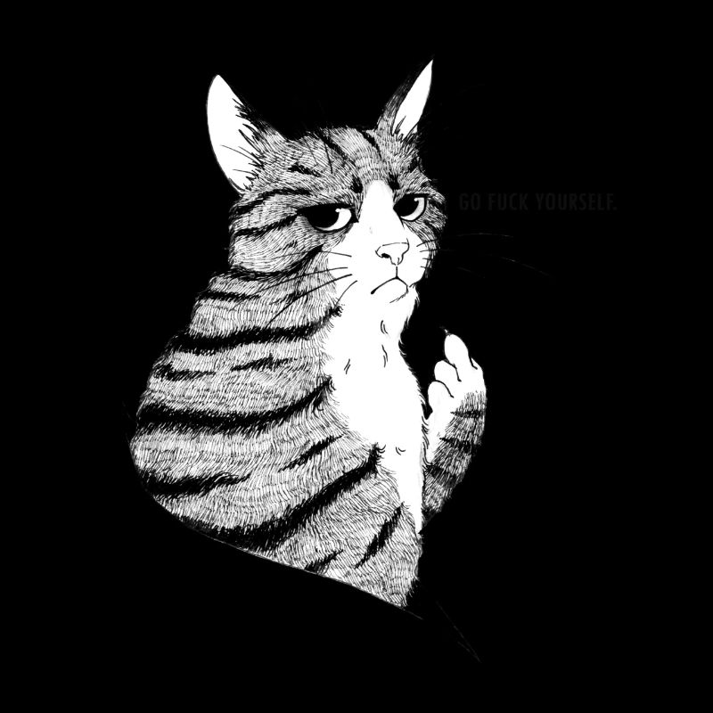 bad kitten
