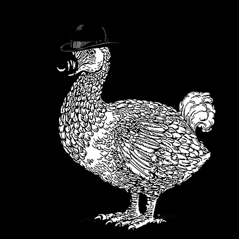 Dodo with hat