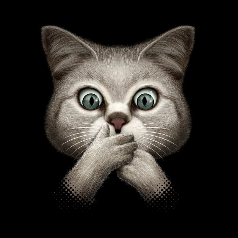 SHOCKING CAT