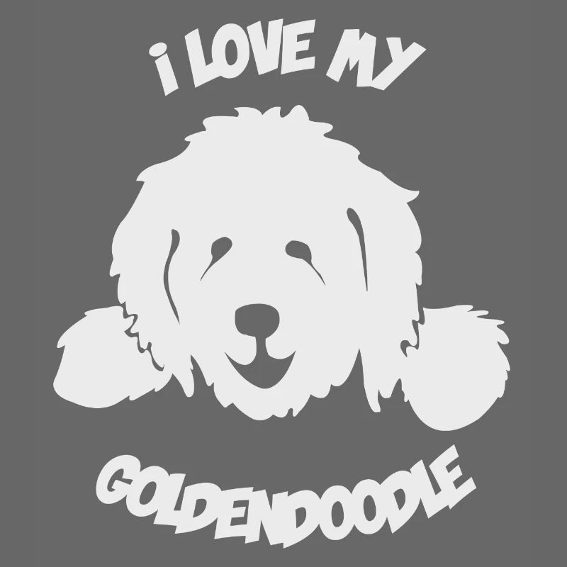 Doodle Goldendoodle Labradoodle Hund