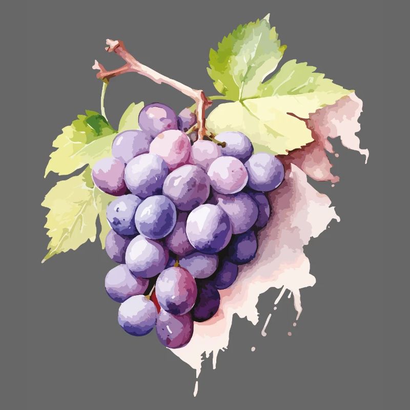 Grappe d’aquarelle de raisins