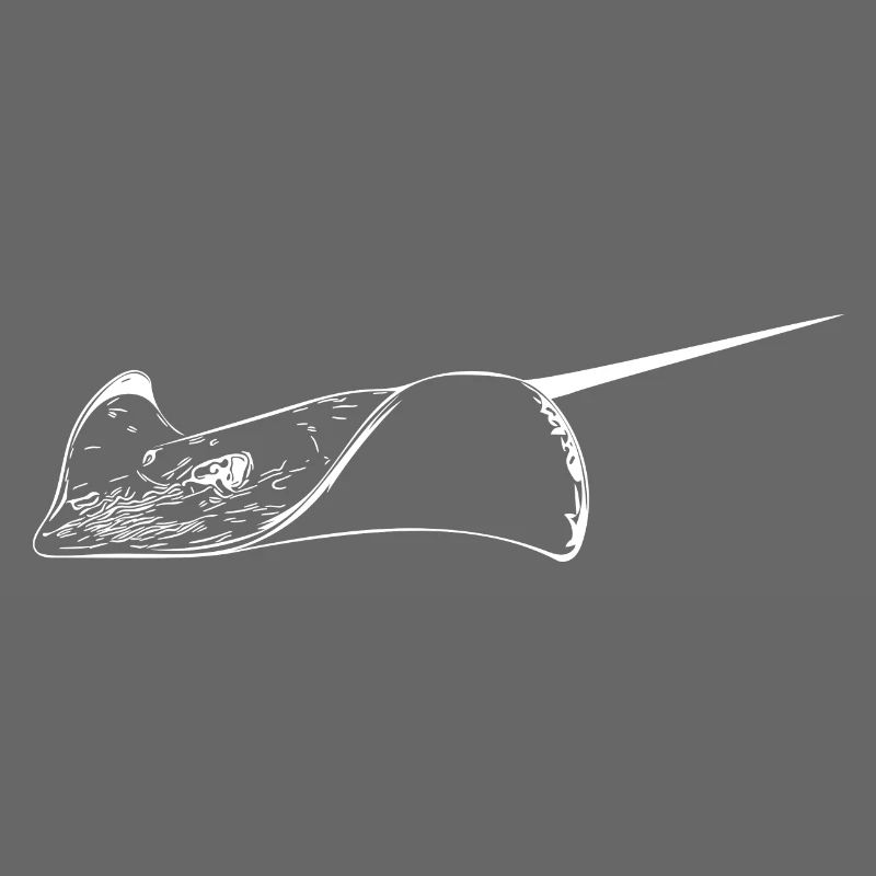 Stingrays in elegant flight