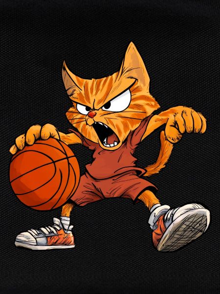 Katzen Basketball
