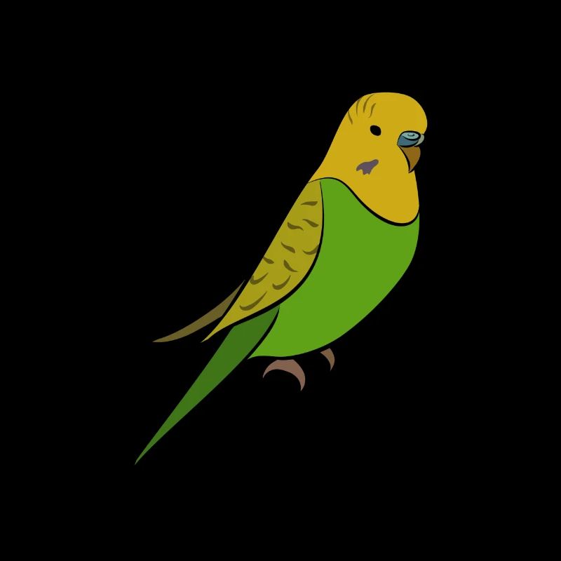 Perruche - perruche jaune vert
