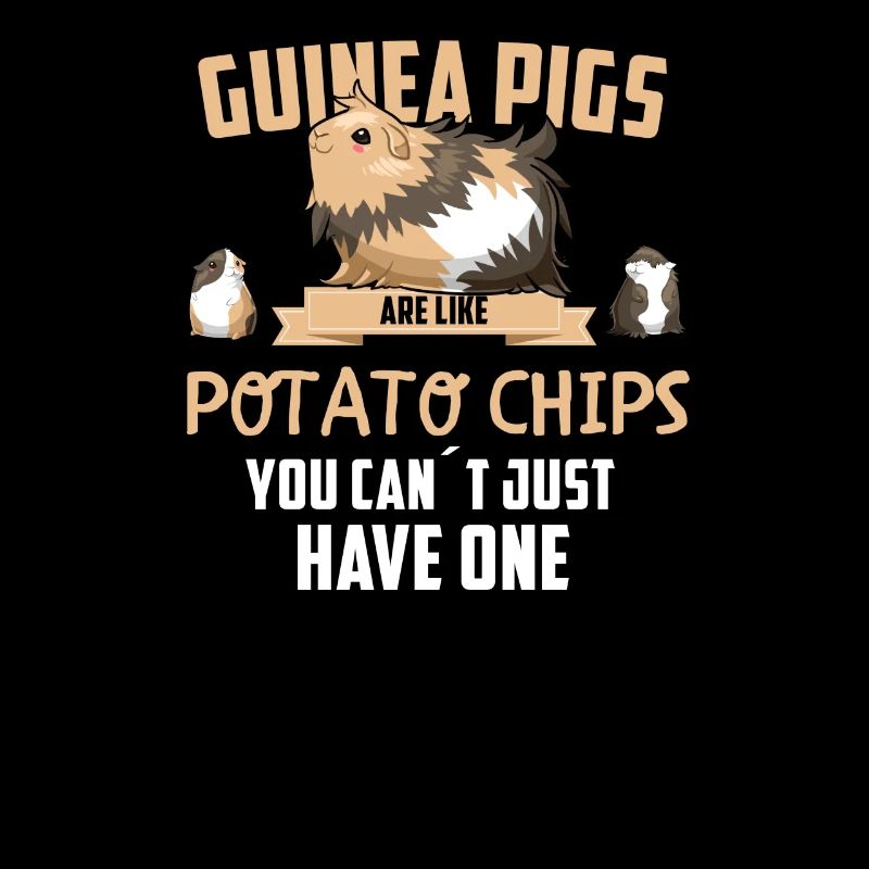 Guinea Pig Guinea Pig Pet Gift
