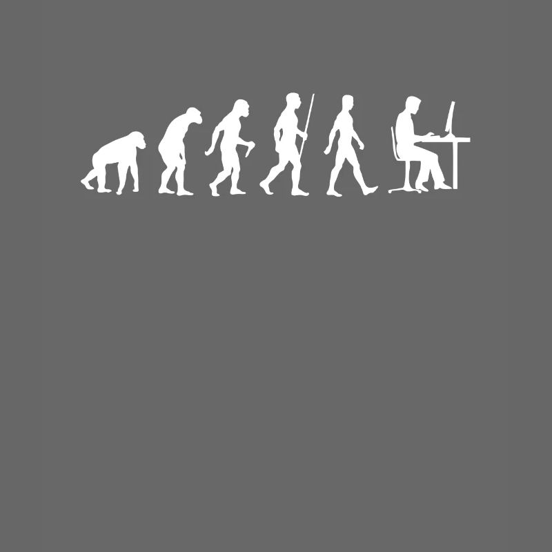 Les programmeurs Evolution développeur informatique