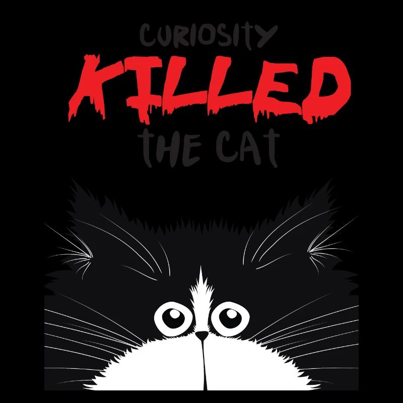Curious cat