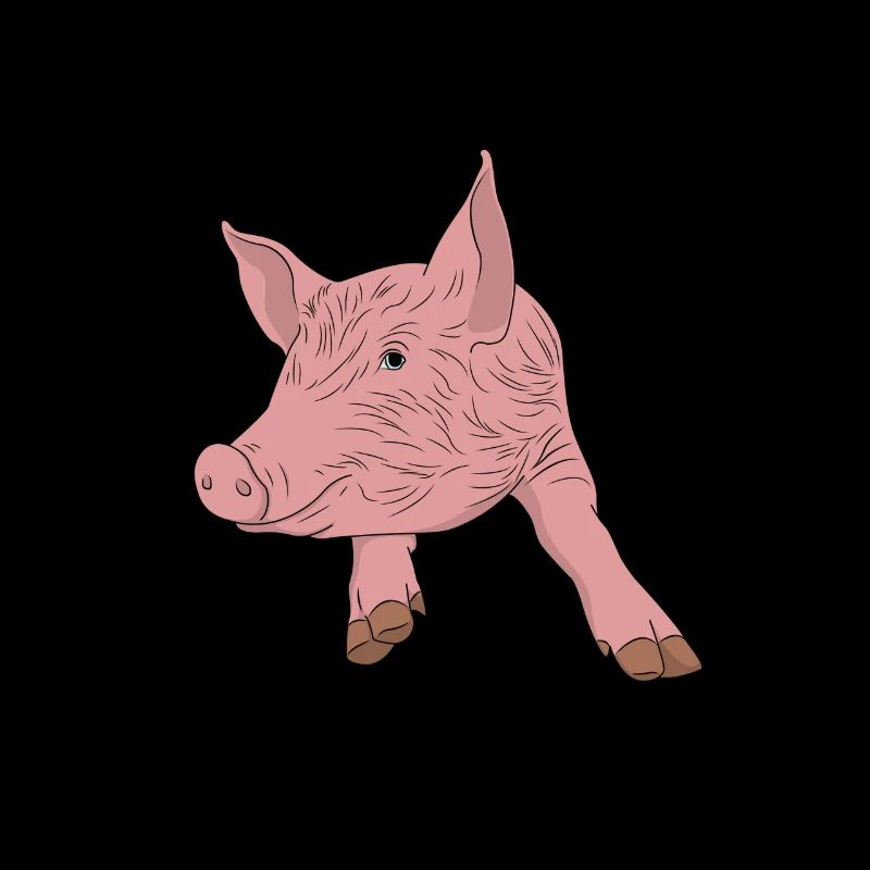 pig