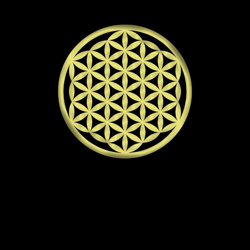 Fleur de vie / Fleur de vie / Fleur de vie