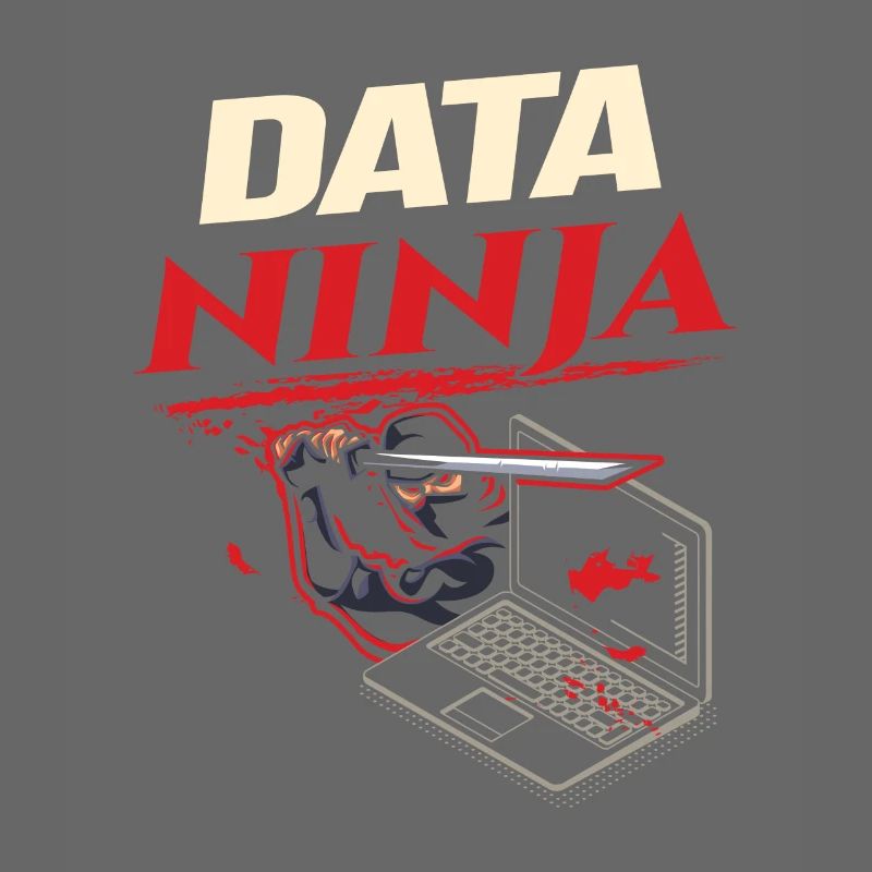 Data Ninja computer programming coder