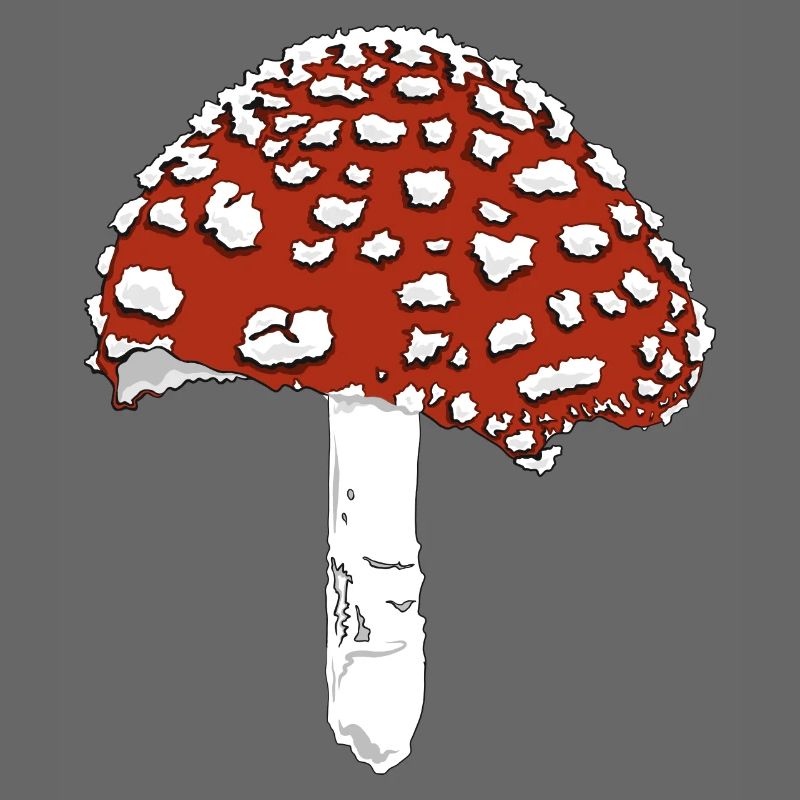 Toadstool toadstool amanita