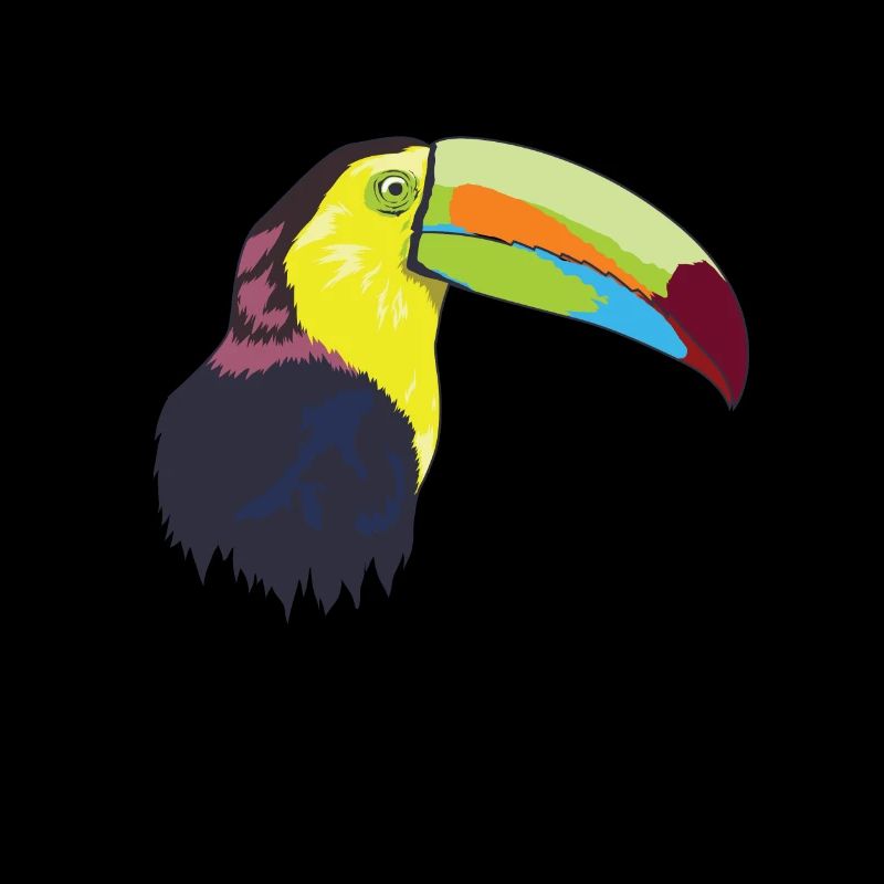 Toucan (Toucan) oiseau toucan