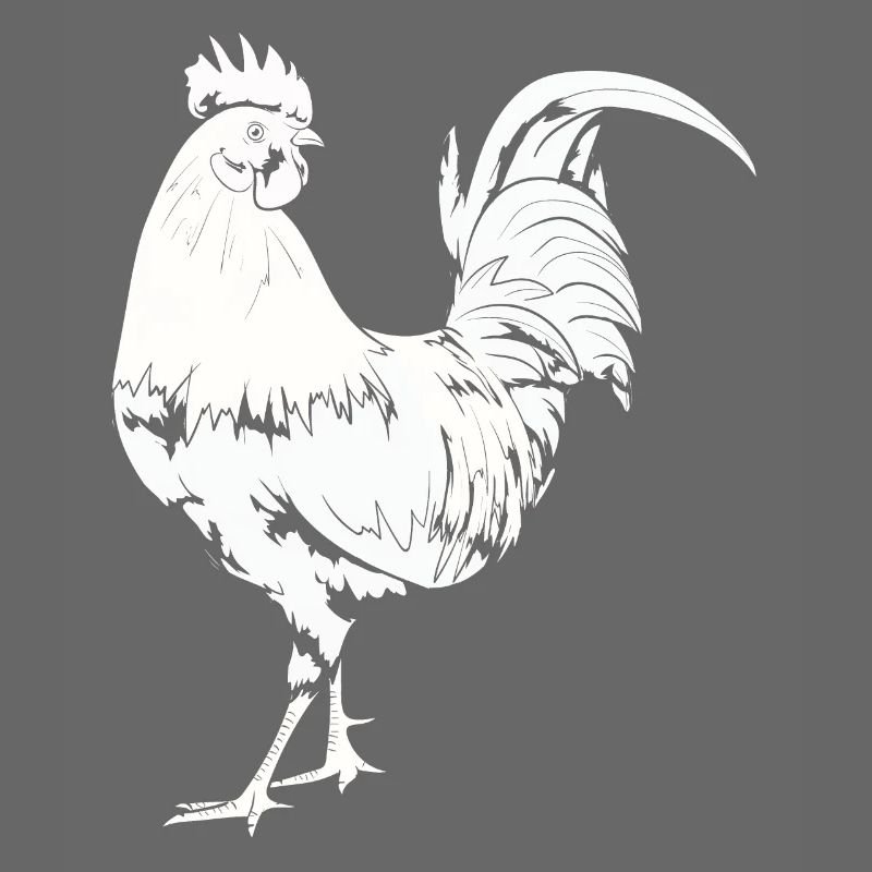 Rooster Chicken Rooster