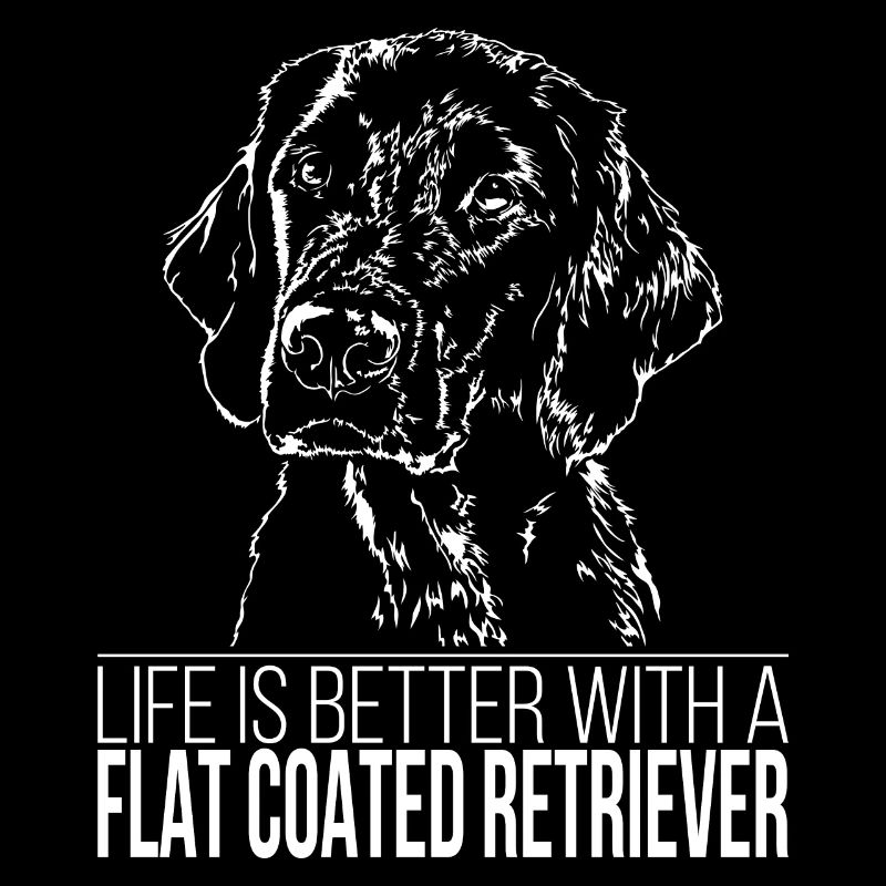 FLAT COATED RETRIEVER Life better Verder