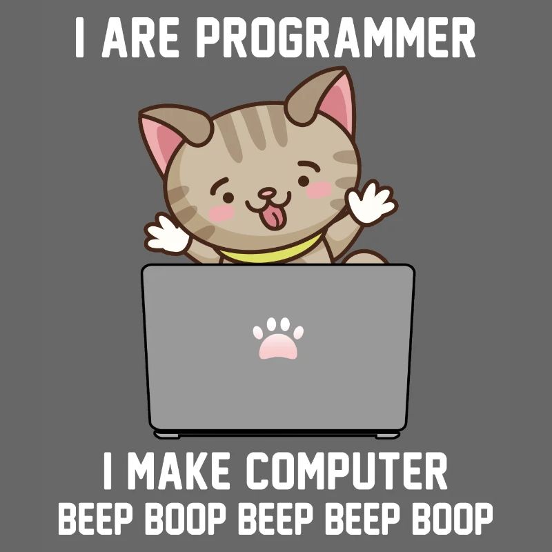 Programmer