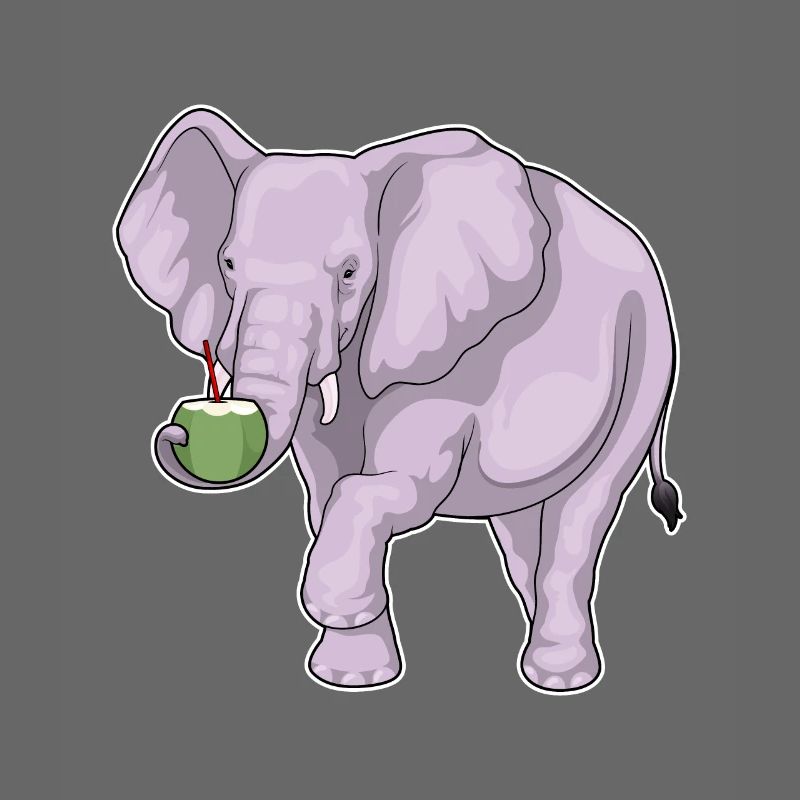 Éléphant Noix de