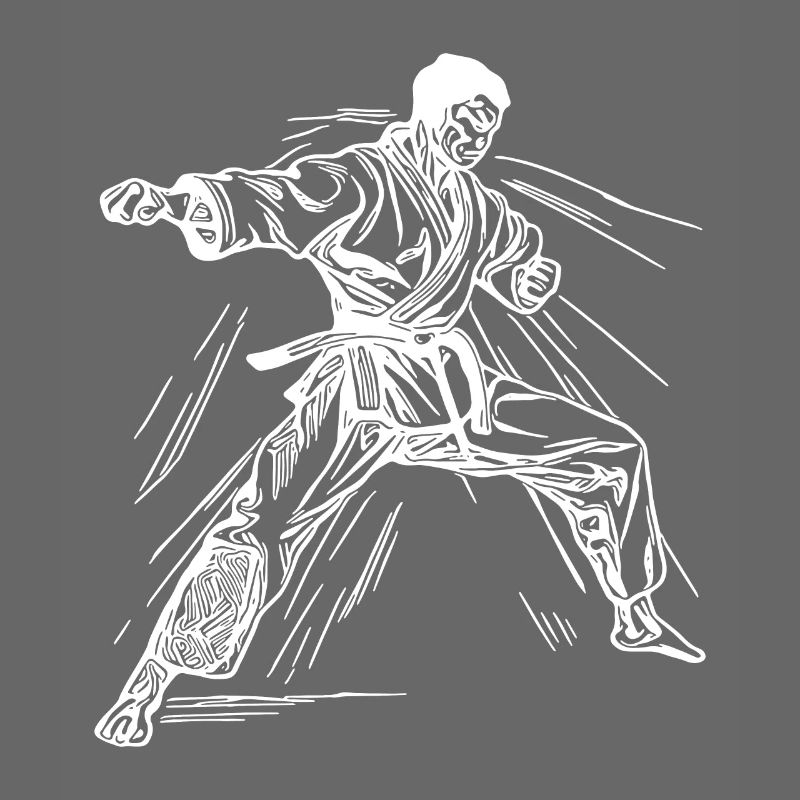 Karate Turnier Kampfgeist Meisterschaft Sieg
