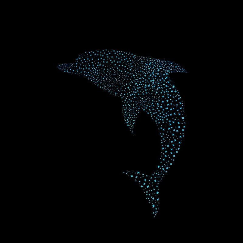 Schöner Delphin Beau dauphin