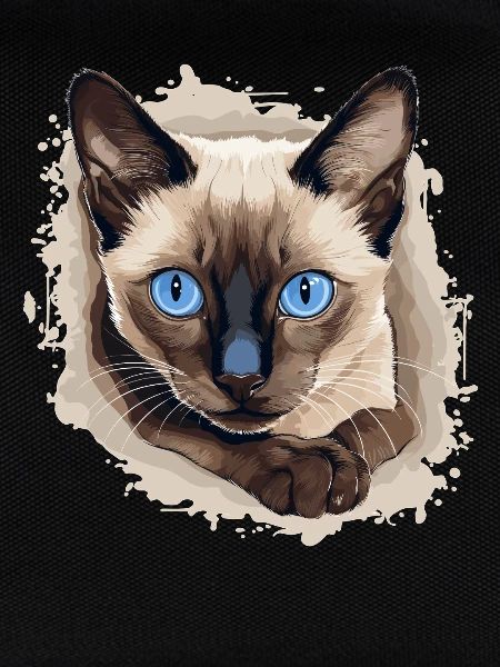 Siamese Cat Siamkatze