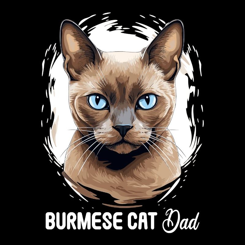 Chat birman Birmanie Katze