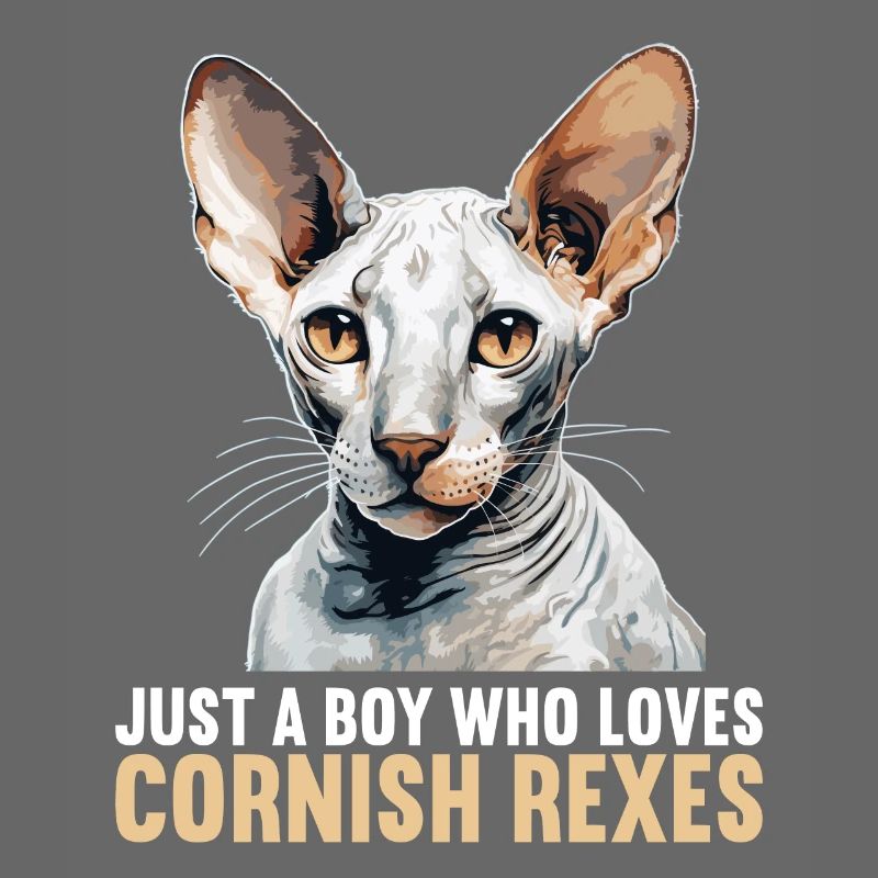 Cornish Rex Kitten Cornish Rex Cat