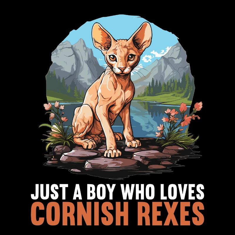 Cornish Rex Kätzchen Cornish Rex Katze